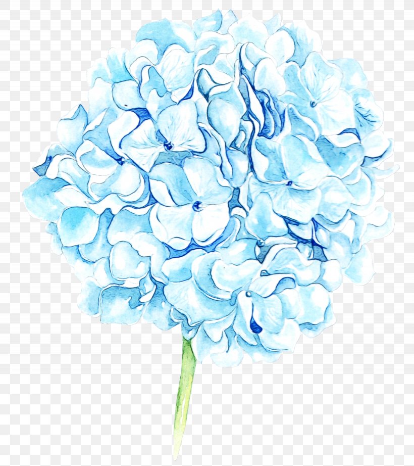 Cut Flowers Flower Hydrangea Hydrangeaceae Plant, PNG, 2255x2536px, Watercolor, Cornales, Cut Flowers, Flower, Flowering Plant Download Free