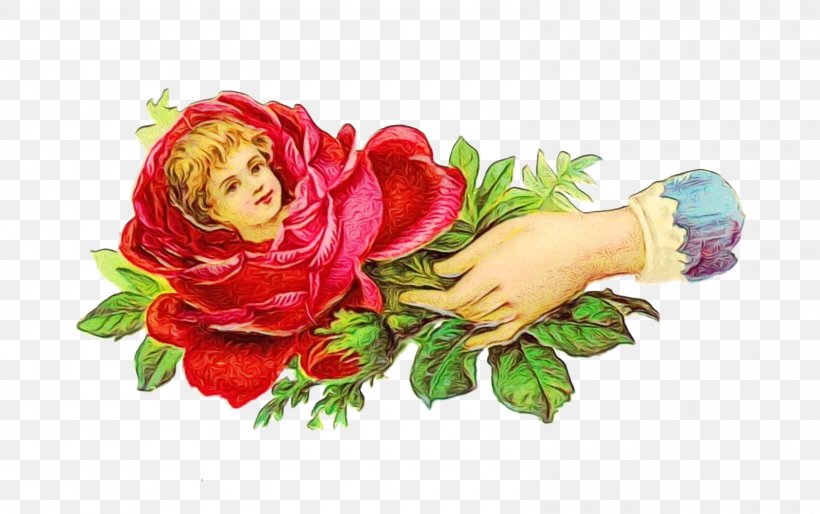 Garden Roses, PNG, 1600x1004px, Watercolor, Bouquet, Cut Flowers, Flower, Garden Roses Download Free