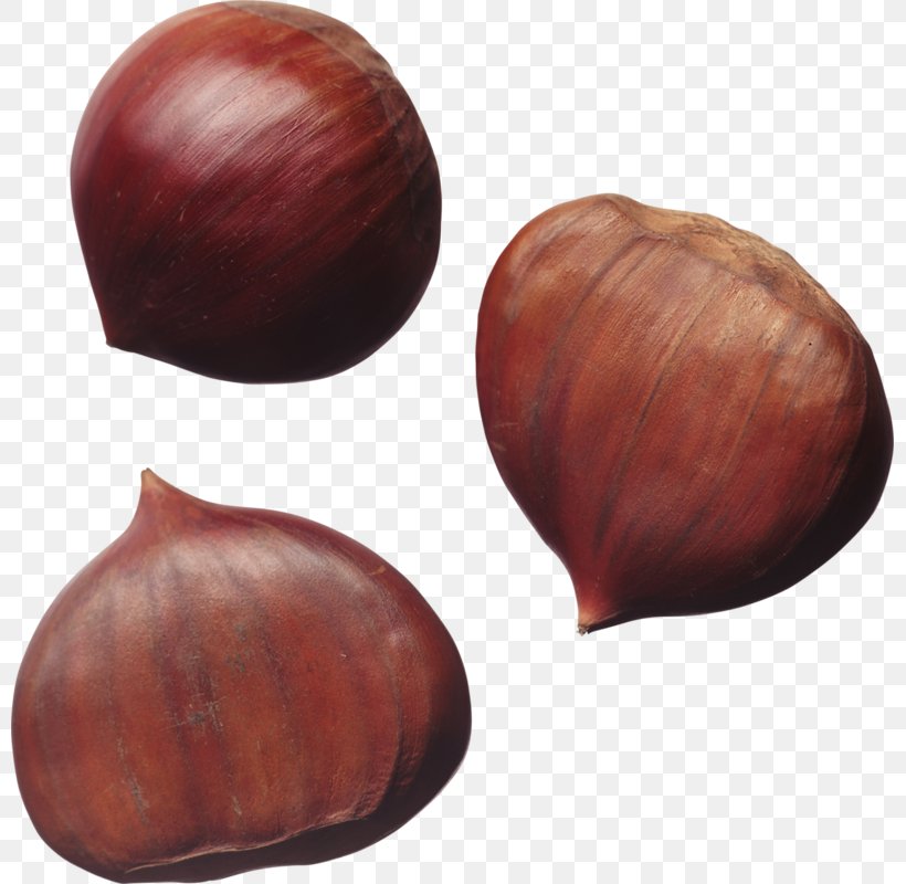 Nuts Hazelnut Chestnut, PNG, 799x800px, Nuts, Chestnut, Digital Image, Dried Fruit, Eleocharis Dulcis Download Free