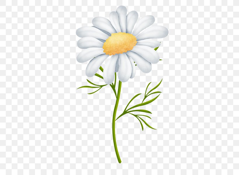 Oxeye Daisy Marguerite Daisy Chrysanthemum Cut Flowers Petal, PNG, 600x600px, Oxeye Daisy, Chamaemelum Nobile, Chamomiles, Chrysanthemum, Chrysanths Download Free