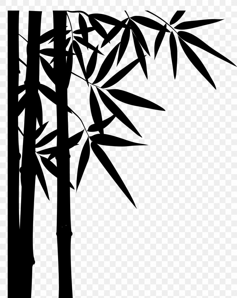 Palm Tree Drawing, PNG, 2053x2572px, Tropical Woody Bamboos, Arecales, Bamboo, Bambou, Bambuseae Download Free