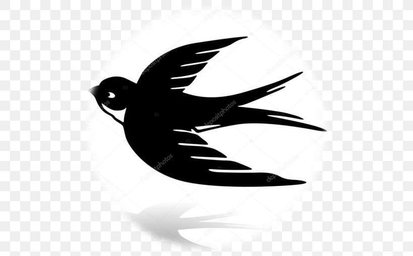 Barn Swallow Edible Bird's Nest Vector Graphics, PNG, 509x509px, Swallow, Barn Swallow, Beak, Bird, Bird Nest Download Free