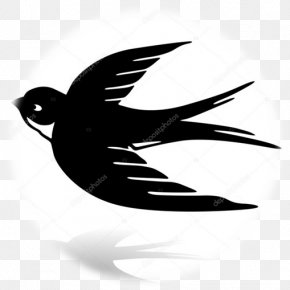 Bird - Barn Swallow Edible Bird's Nest Vector Graphics PNG