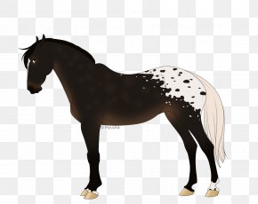 Mustang - Mane Mustang Stallion Pony Mare PNG