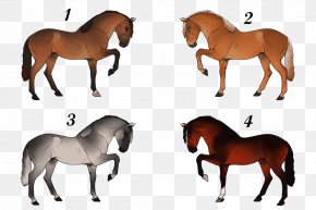 American Paint Horse - Mustang Stallion Foal Mare Colt PNG