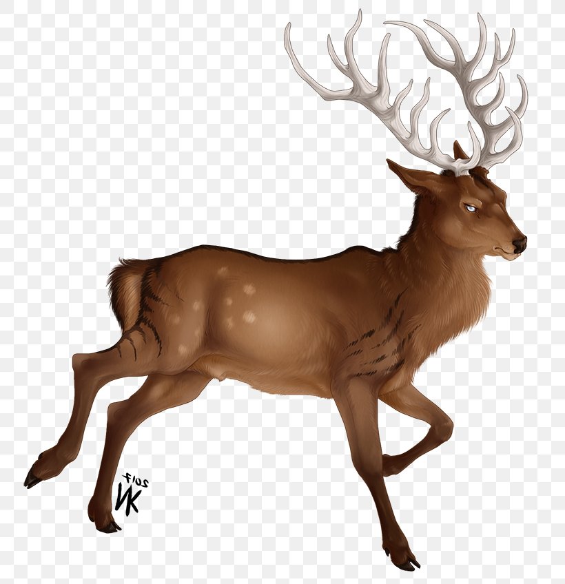 Reindeer Elk Antler Wildlife Terrestrial Animal, PNG, 800x848px, Reindeer, Animal, Antler, Deer, Elk Download Free