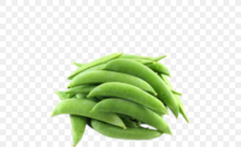 Snap Pea Green Bean Common Bean Vegetable, PNG, 500x500px, Snap Pea, Bean, Botanical Illustration, Common Bean, Edamame Download Free