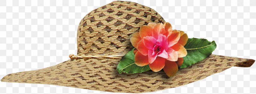 Sun Hat Cap Visor, PNG, 1800x663px, Hat, Asian Conical Hat, Bonnet, Cap, Chapxe9u De Palha Download Free