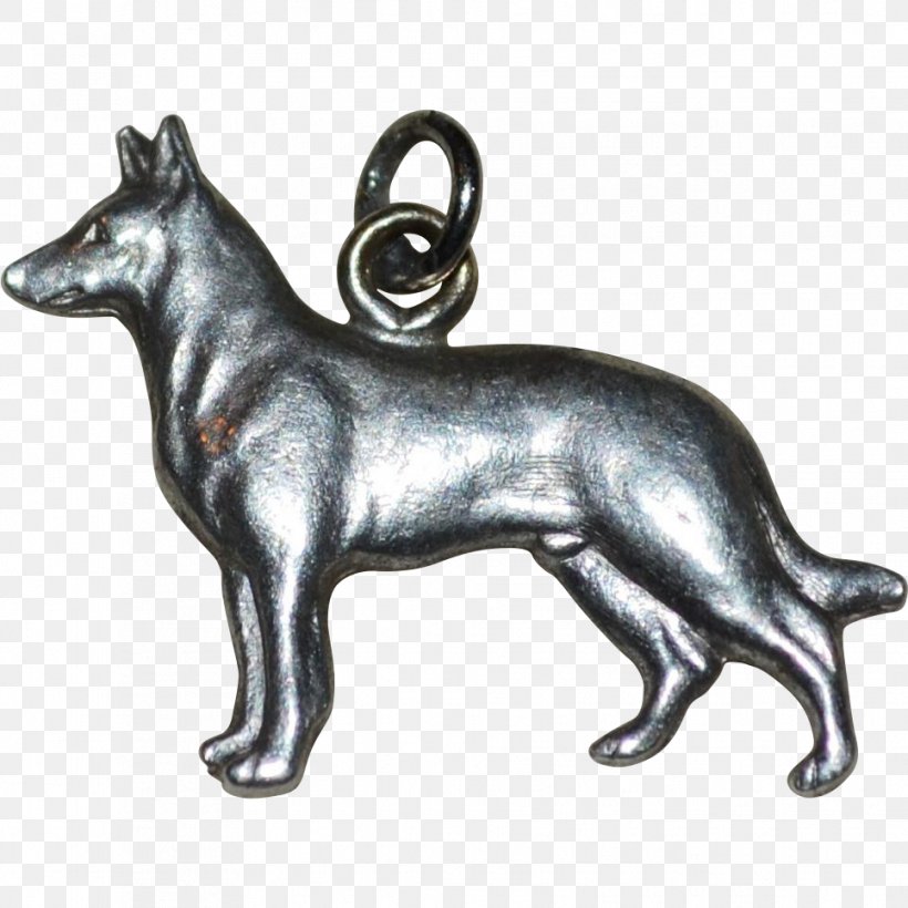 Dog Breed Bronze Razas Nativas Vulnerables, PNG, 966x966px, Dog, Breed, Bronze, Carnivoran, Dog Breed Download Free