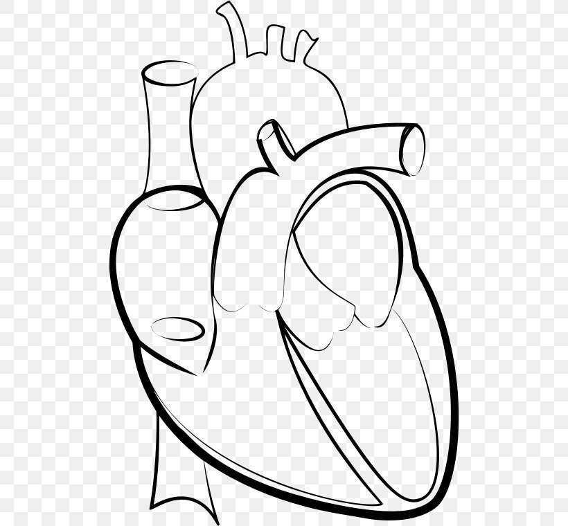 Heart Line Art Drawing Clip Art, PNG, 506x760px, Watercolor, Cartoon, Flower, Frame, Heart Download Free