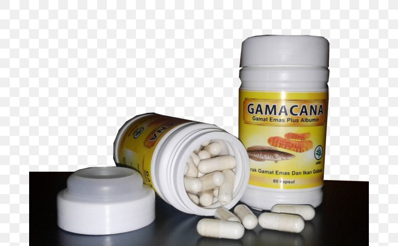 Herb Dietary Supplement Blood Capsule Health, PNG, 700x507px, Herb, Blood, Blood Vessel, Body, Capsule Download Free