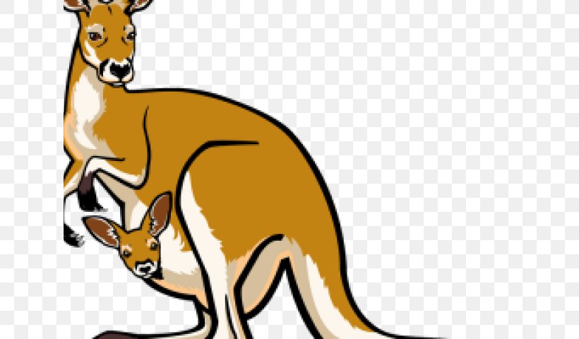 Clip Art Kangaroo Transparency Free Content, PNG, 640x480px, Kangaroo, Animal Figure, Boxing Kangaroo, Joey Kangaroo, Koala Download Free