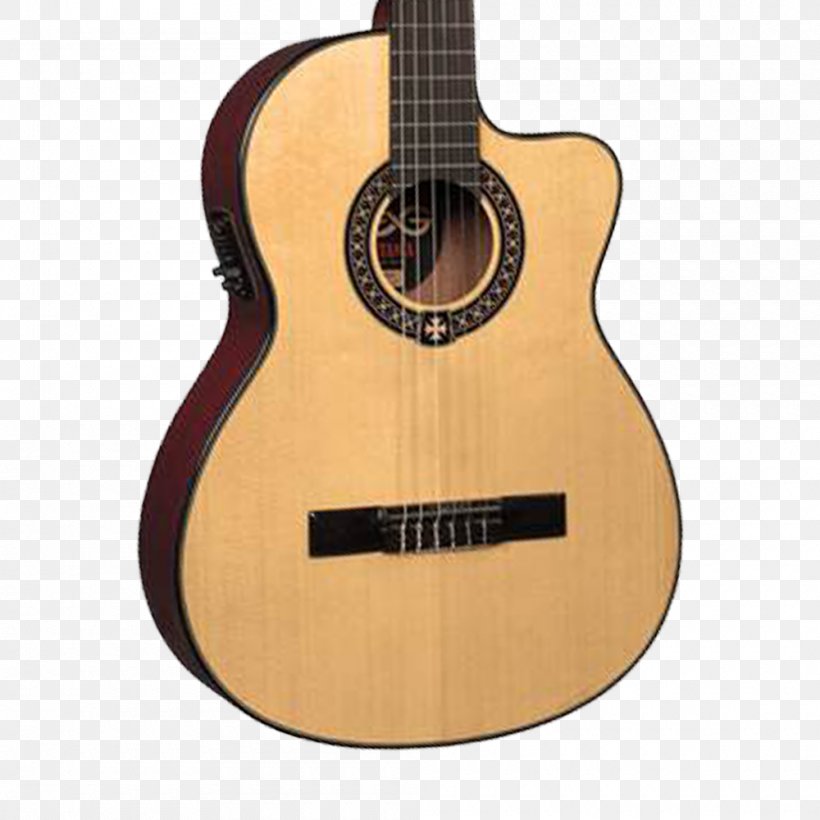 Guitar Amplifier C. F. Martin & Company Classical Guitar Acoustic Guitar Takamine Guitars, PNG, 1000x1000px, Watercolor, Cartoon, Flower, Frame, Heart Download Free