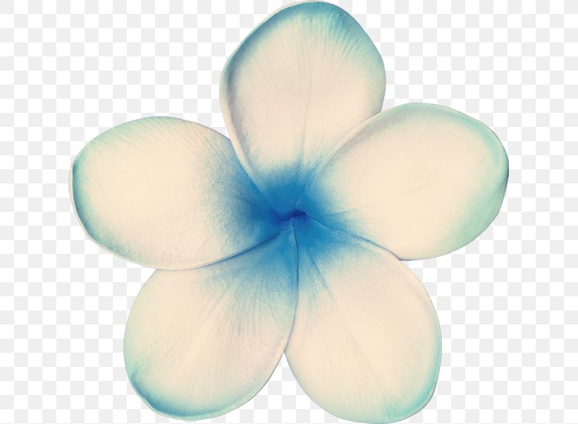Petal Turquoise, PNG, 625x601px, Petal, Flower, Turquoise Download Free