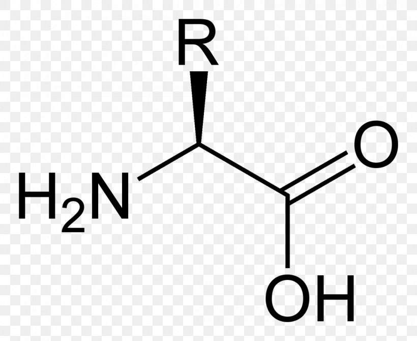 Serine Valine Alanine Amino Acid Tyrosine, PNG, 1100x899px, Serine, Alanine, Amino Acid, Area, Aspartic Acid Download Free