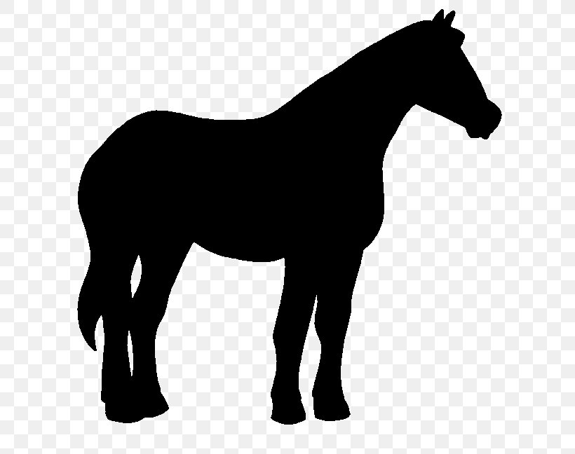 Akhal-Teke Mustang Pony Horse Foal, PNG, 639x648px, Akhalteke, Animal, Animal Figure, Blackandwhite, Breed Download Free