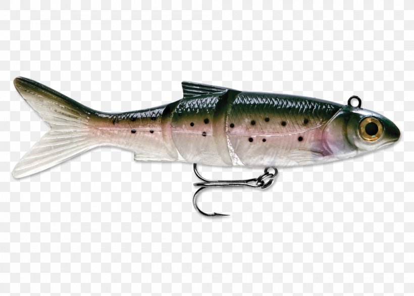 Plug Sardine Rainbow Trout Oily Fish, PNG, 1000x715px, Plug, Bait, Bony Fish, Fish, Fishing Bait Download Free