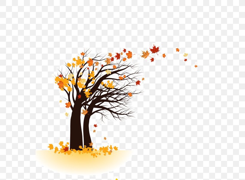 Tree Autumn Royalty-free Photography, PNG, 582x604px, Tree, Autumn, Branch, Deciduous, Floral Design Download Free