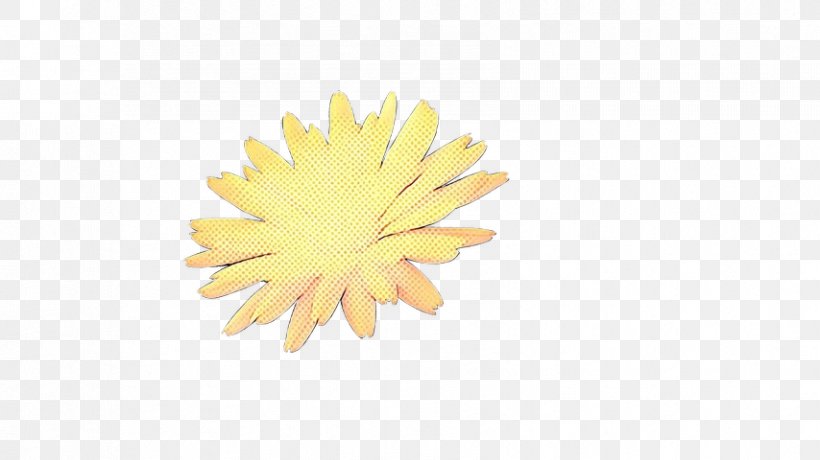 Yellow Flower, PNG, 854x480px, Yellow, Dandelion, Flower, Gerbera, Plant Download Free