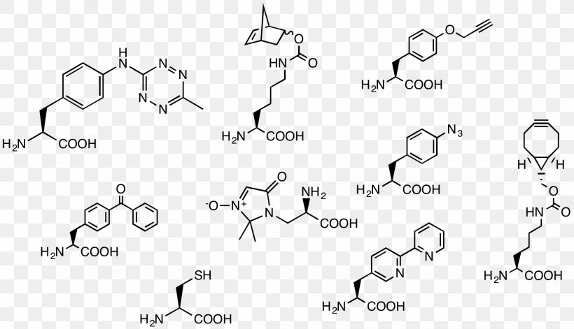 Aldehyde Oyakodon Acetal Benzyl Group Reductive Amination, PNG, 1877x1079px, Aldehyde, Acetal, Area, Auto Part, Benzaldehyde Download Free
