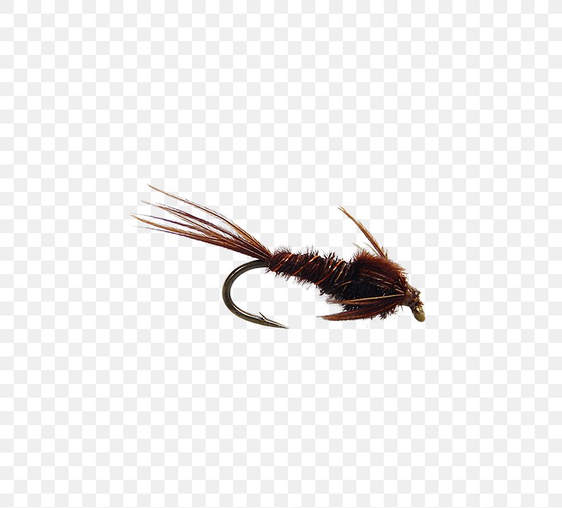 Insect Artificial Fly, PNG, 555x741px, Insect, Artificial Fly, Invertebrate, Membrane Winged Insect, Pest Download Free