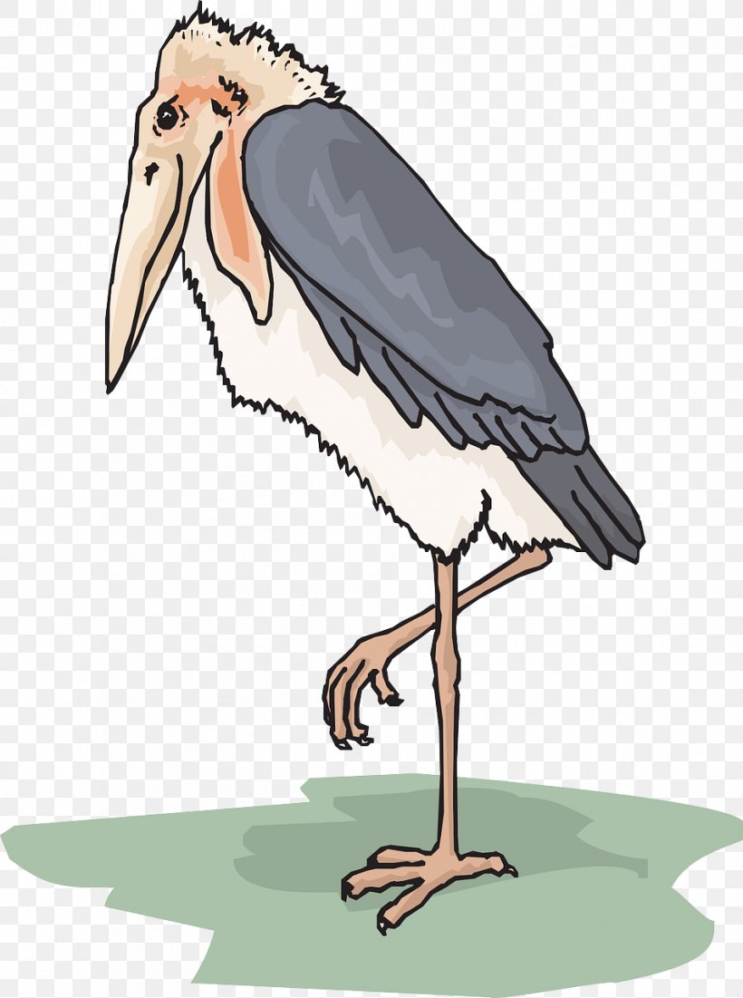 Marabou Stork Bird Clip Art, PNG, 953x1280px, Marabou Stork, Animation, Beak, Bird, Ciconiiformes Download Free