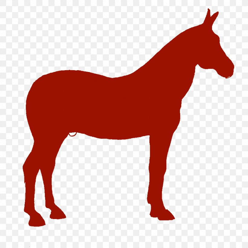 Mule American Quarter Horse Pony Mustang Foal, PNG, 951x951px, Mule, American Quarter Horse, Bay, Black, Bridle Download Free