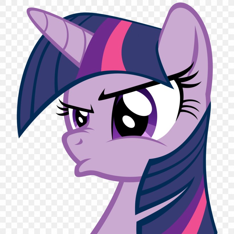 Twilight Sparkle Pony Princess Celestia Fluttershy Horse, PNG, 1024x1024px, Watercolor, Cartoon, Flower, Frame, Heart Download Free