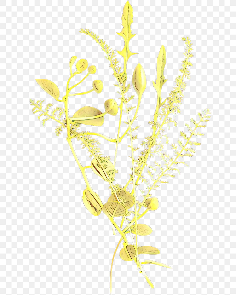 Yellow Plant Flower Plant Stem, PNG, 652x1024px, Yellow, Flower, Plant, Plant Stem Download Free