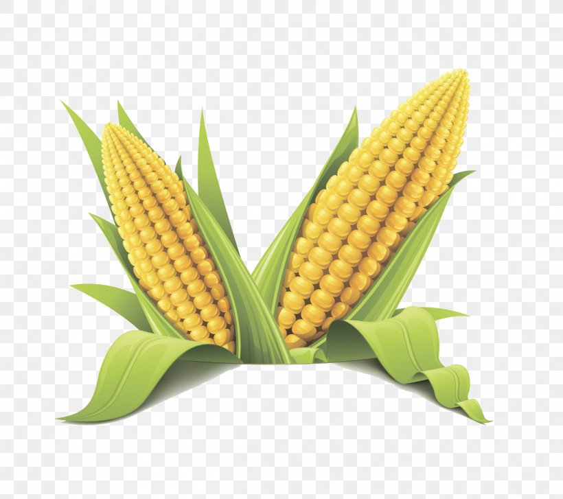 Corn On The Cob Maize Sweet Corn Flint Corn Cereal, PNG, 1212x1075px, Corn On The Cob, Cereal, Commodity, Corn Kernel, Corncob Download Free
