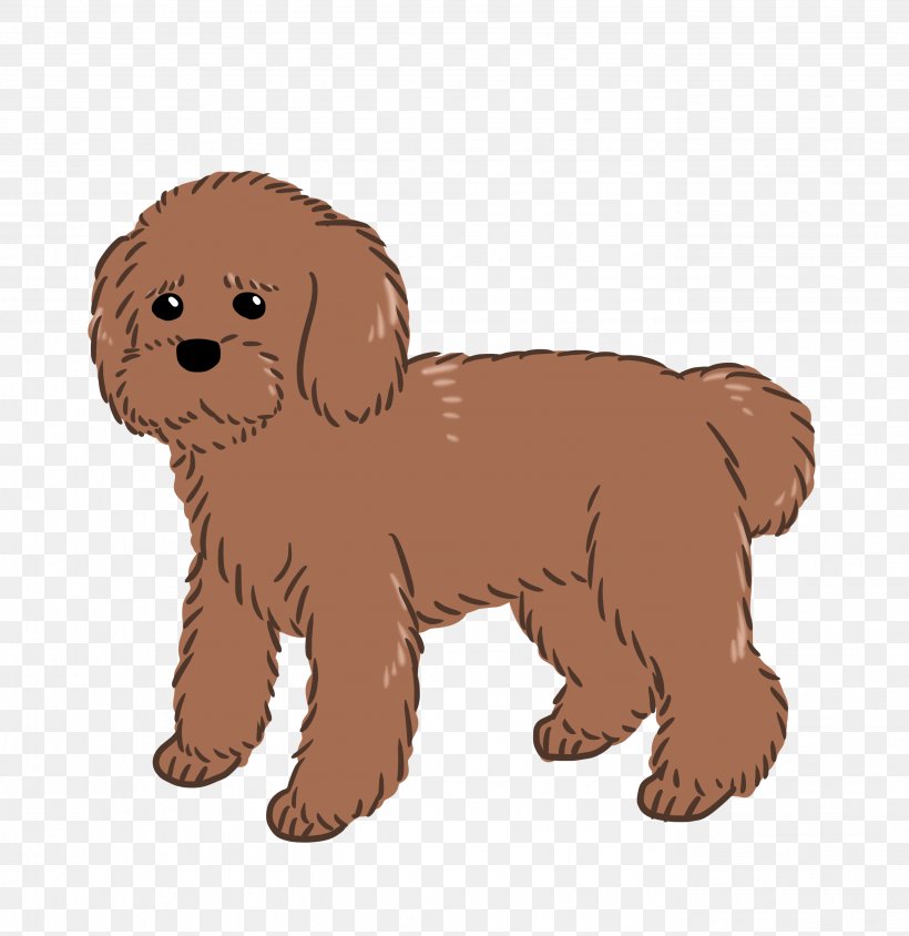 Goldendoodle Schnoodle Cockapoo Puppy Dog Breed, PNG, 2756x2839px, Goldendoodle, Breed, Carnivoran, Cockapoo, Companion Dog Download Free