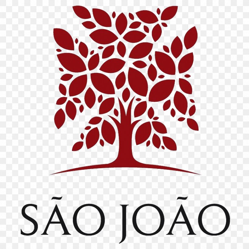 Saint John Hospital Physician Hospital De São João Medicine, PNG, 851x851px, Hospital, Area, Branch, Brand, Disease Download Free