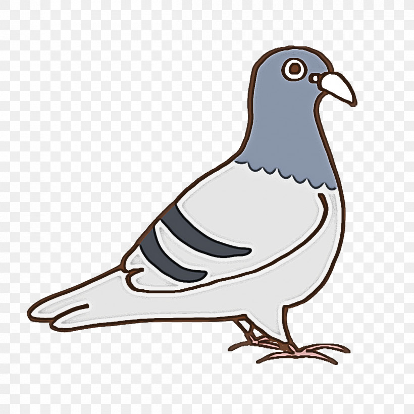 Columbidae Birds Cartoon Kentan-man Bird Vocalization, PNG, 1200x1200px, Columbidae, Beak, Bird Vocalization, Birds, Cartoon Download Free