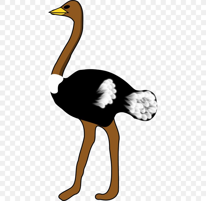 Common Ostrich Bird Clip Art, PNG, 439x800px, Common Ostrich, Art, Beak, Bird, Blog Download Free
