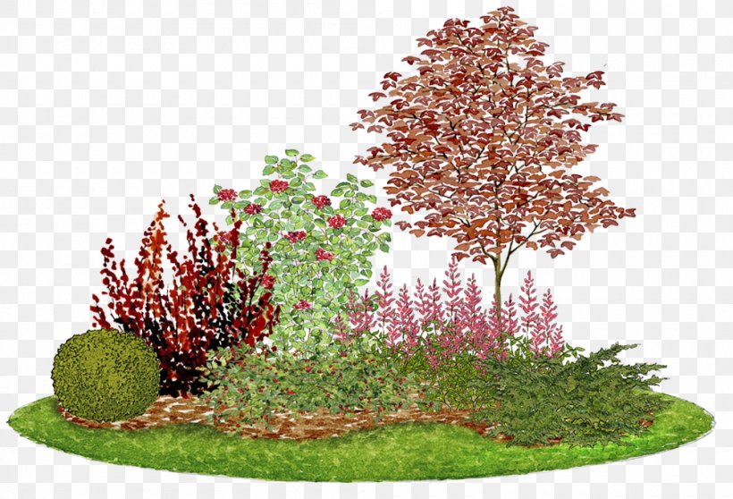 Composition Flower Garden Landscape Design Acer Ginnala, PNG, 1000x681px, Composition, Acer Ginnala, Acer Japonicum, Aquarium Decor, Arborvitae Download Free