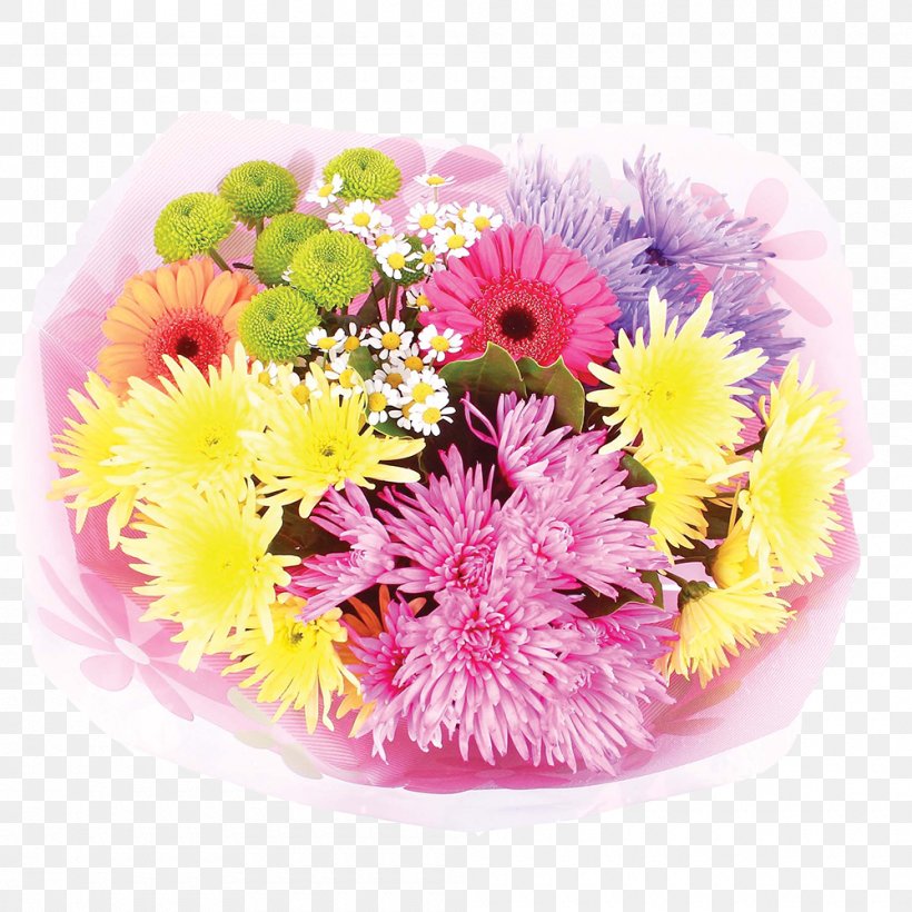Cut Flowers Floral Design Floristry Transvaal Daisy, PNG, 1000x1000px, Cut Flowers, Annual Plant, Aster, Chrysanthemum, Chrysanths Download Free