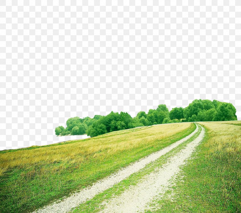Green Grass Road, PNG, 2362x2094px, Road, Blue, Composition, Daytime, Field Download Free
