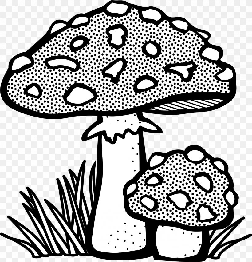 Mushroom Drawing Line Art Fungus Clip Art, PNG, 1231x1280px, Mushroom, Amanita Muscaria, Art, Artwork, Black And White Download Free