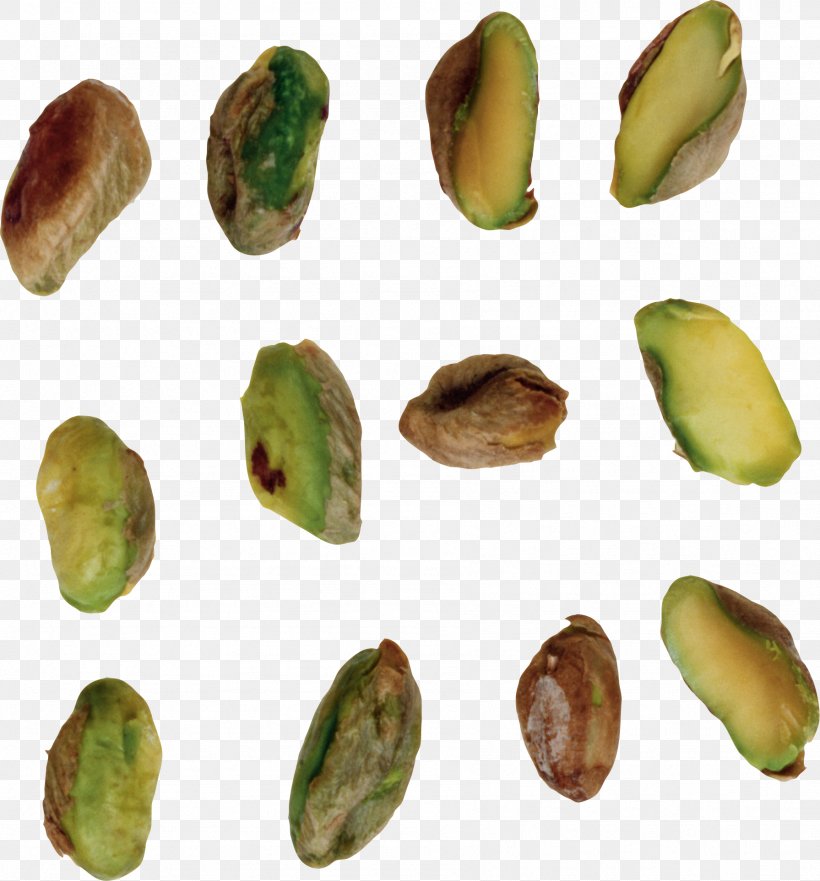 Pistachio Nucule Download, PNG, 1791x1925px, Pistachio, Cashew, Dried Fruit, Food, Hazelnut Download Free