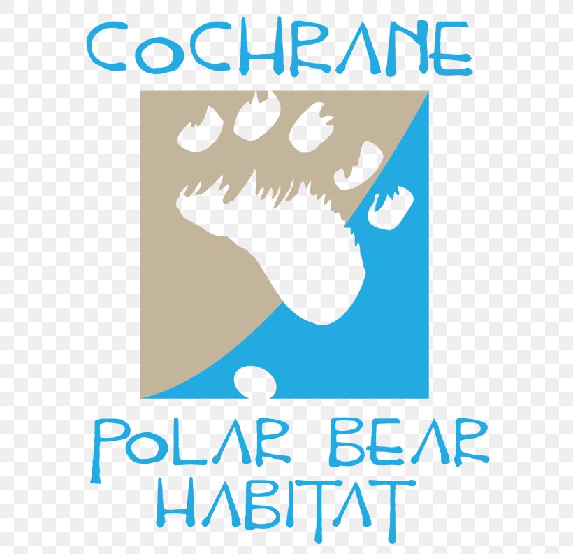 The Cochrane Polar Bear Habitat Species Reintroduction, PNG, 612x792px, Polar Bear, Area, Bear, Brand, Cochrane Download Free