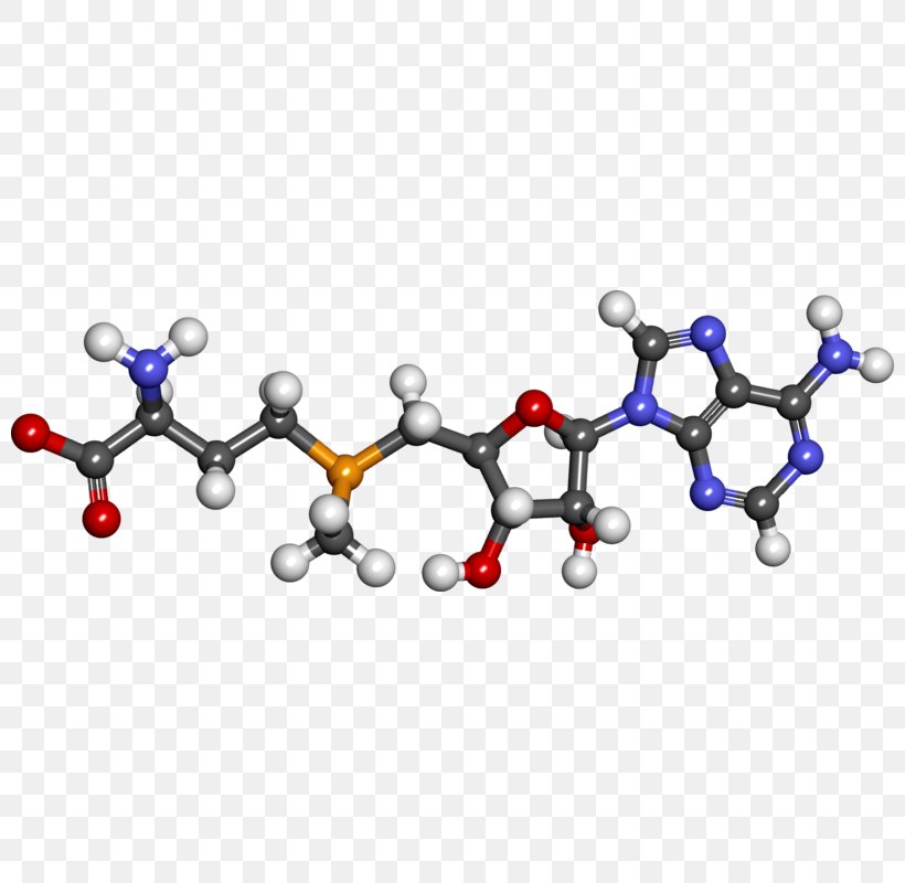 Dietary Supplement S-Adenosyl Methionine Health Cysteine, PNG, 800x800px, Dietary Supplement, Adenosine, Amino Acid, Body, Body Jewelry Download Free