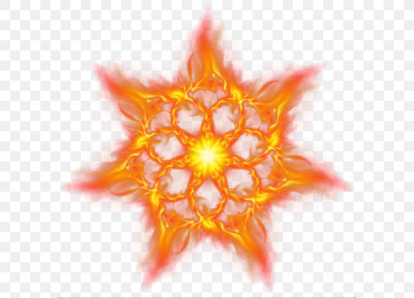 Fire Euclidean Vector Icon, PNG, 592x591px, Symmetry, Orange, Organism, Pattern, Petal Download Free