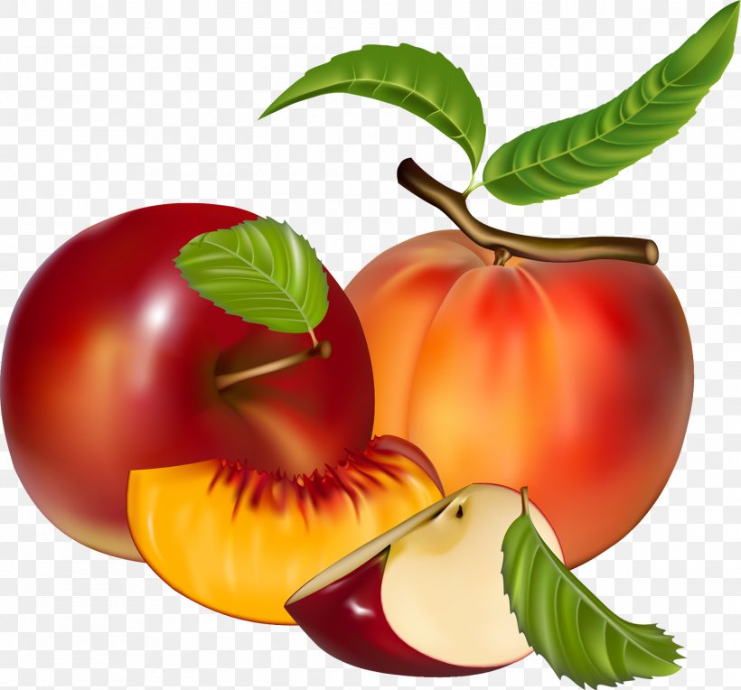 Natural Foods Fruit Plant Food Apple, PNG, 1500x1399px, Natural Foods, Apple, Food, Fruit, Leaf Download Free