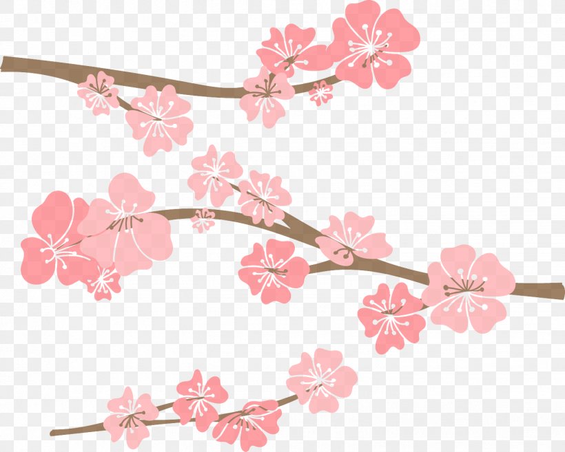 Cherry Blossom, PNG, 1443x1157px, Pink, Blossom, Branch, Cherry Blossom, Flower Download Free