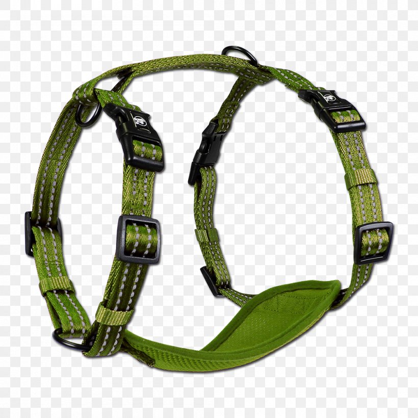 Dog Harness Leash Dog Collar, PNG, 1000x1000px, Dog, Adventure, Bracelet, Cattle, Collar Download Free