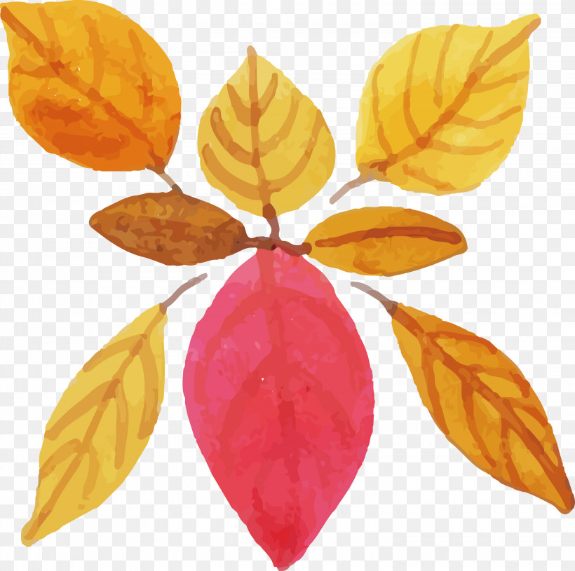 Leaf Fruit Plant Structure Biology Science, PNG, 3000x2982px, Watercolor Autumn, Biology, Fruit, Leaf, Plant Structure Download Free