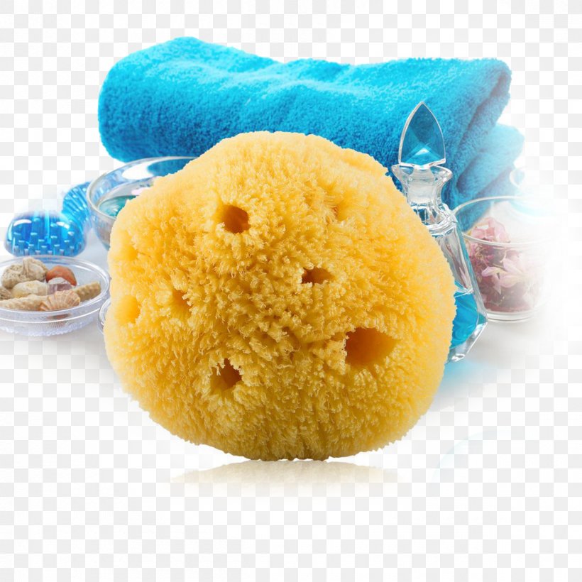 Sponge Bathing Bathroom Face Facial, PNG, 1200x1200px, Nidra, Animal, Bath Bomb, Bath Salts, Bathing Download Free