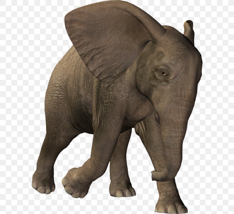 Indian Elephant African Elephant Raster Graphics, PNG, 600x750px, Indian Elephant, African Elephant, Digital Image, Elephant, Elephantidae Download Free