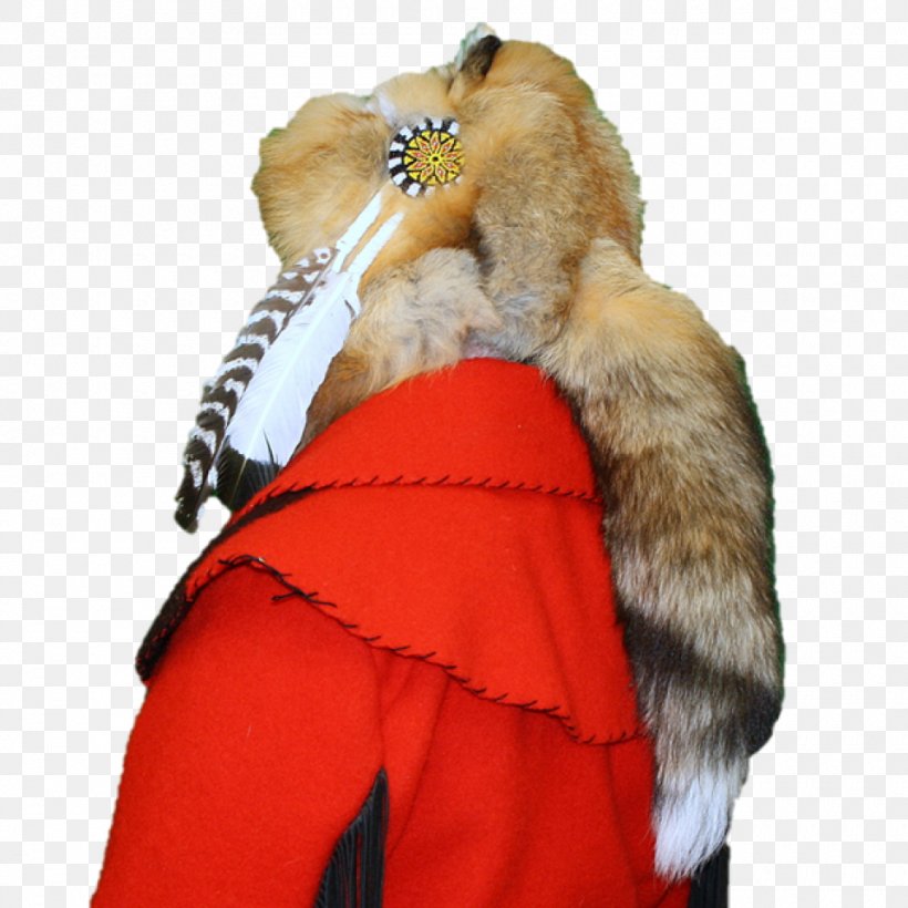 Red Fox Lynx Fur Clothing, PNG, 960x960px, Red Fox, Clothing, Coyote, Fashion, Fox Download Free