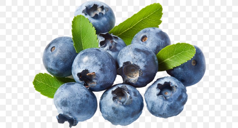 Blueberry Cannabidiol Herbalism Bilberry, PNG, 600x440px, Blueberry, Aristotelia Chilensis, Berry, Bilberry, Blueberry Tea Download Free